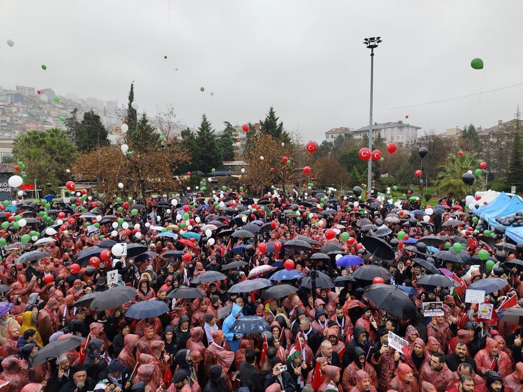 kocaeli4.jpg